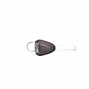 Extra key for a electric vehicle slow moving golf cart. Bintelli branded beyond model.