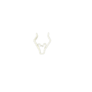 Beyond Retainer Clip